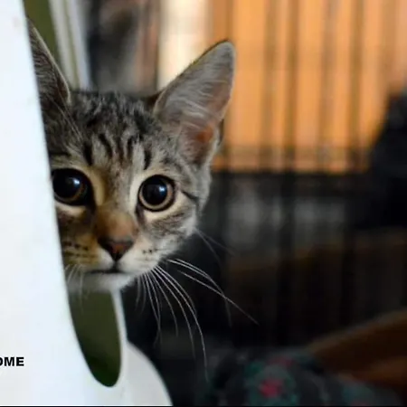 Appartement 4work & Leisure I Self-checkin I 3parking I Station District - Simpletone *