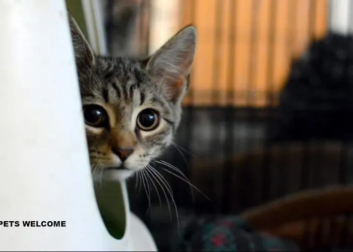 Apartamento 4work & Leisure I Self-checkin I 3parking I Station District - Simpletone *